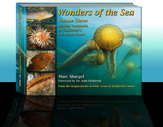 Wonders of the Sea Volume Two: Marine Jewels of Southern California's Coast and Islands