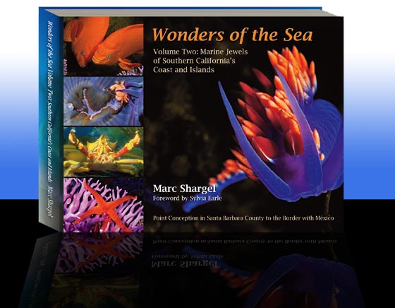 Wonders of the Sea Volume Two: Marine Jewels of Southern California's Coast and Islands