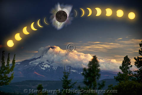../photo/imagesnew/Dxxx/300D002_480.jpg